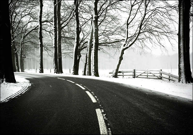 路边的雪。未待融化。