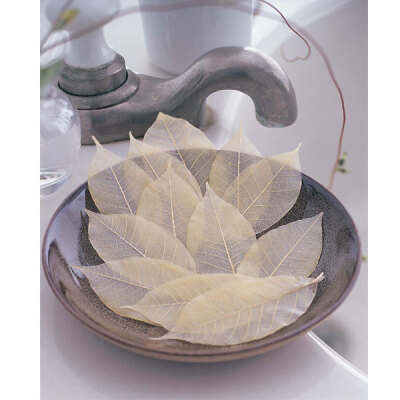 Soap Leaves