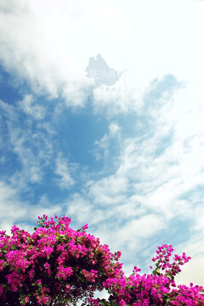 joi110520 版权所有