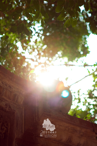 joi110520 版权所有