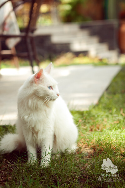 joi110520 版权所有