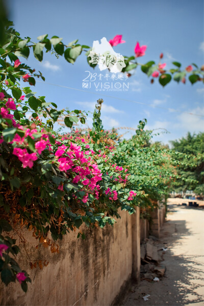 joi110520 版权所有