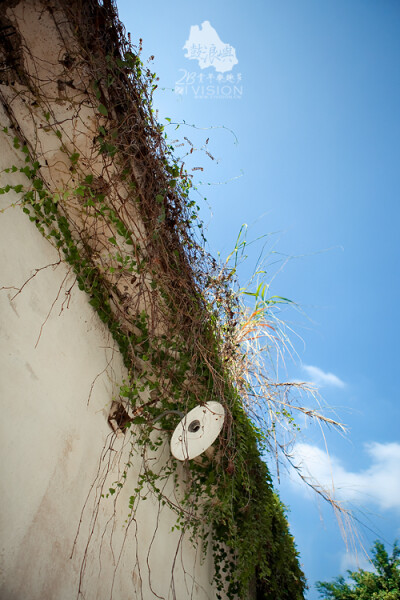 joi110520 版权所有