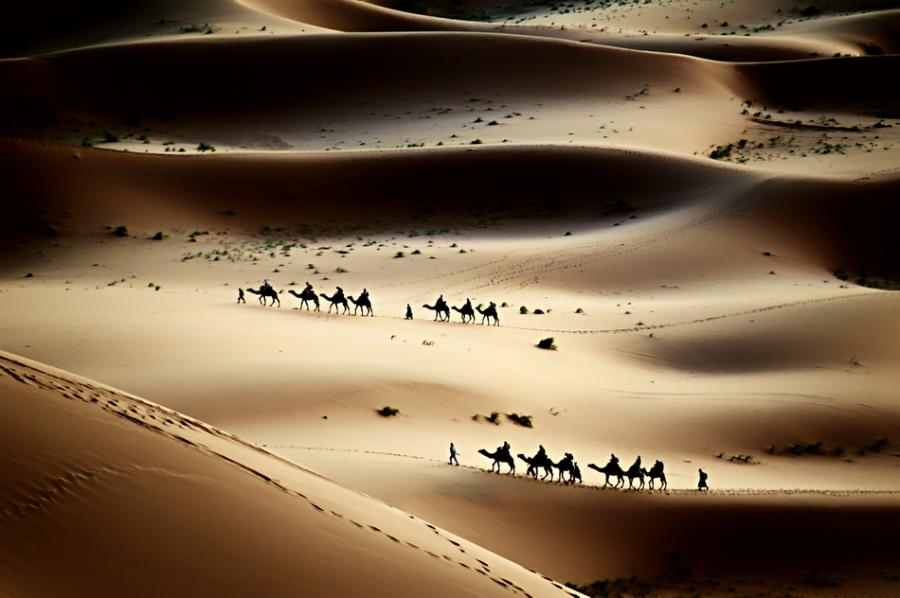 Sahara Trek by Shel Mami