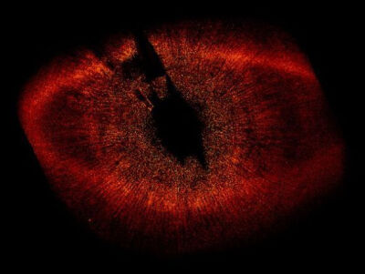 2008年，天文学家将哈勃太空望远镜对准“索隆魔眼”并发现一颗新行星。“索隆魔眼”这个名字来源于魔幻大片《指环王》，实际上是指南鱼嘴，它是南鱼座中最亮的一颗星，距地球大约25光年。其炽热的“虹膜”实际上是一…