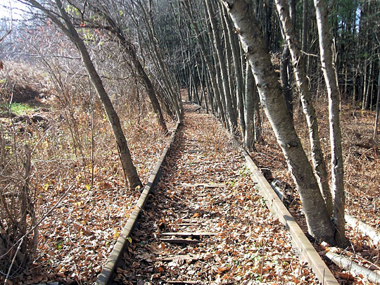 Abandoned FHH Siding by n1yln 废弃的铁路..