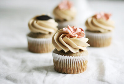 cupcake~