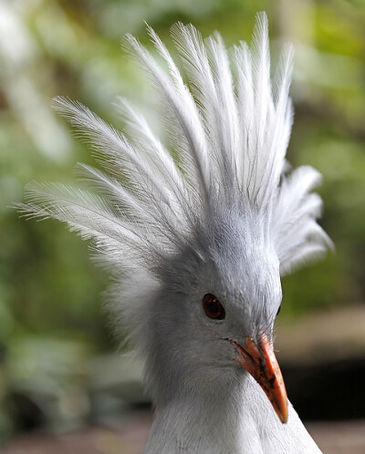 冲冠一怒为红颜