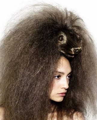 animal hairstyle