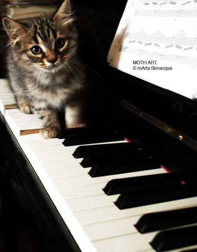 M0thyyku-The most famous pianist.本世纪最杰出的钢琴家~miao...