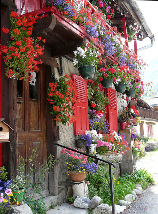 花城如梦❀---------Sunday