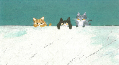 山猫堂 三只风格迥异的猫