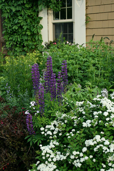 Carolyn Aiken-A Garden Tour