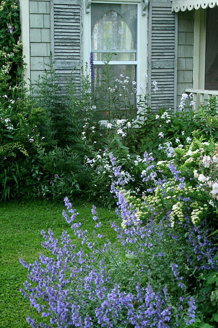 Carolyn Aiken-A Garden Tour