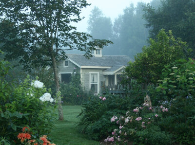 Carolyn Aiken-New Cottage