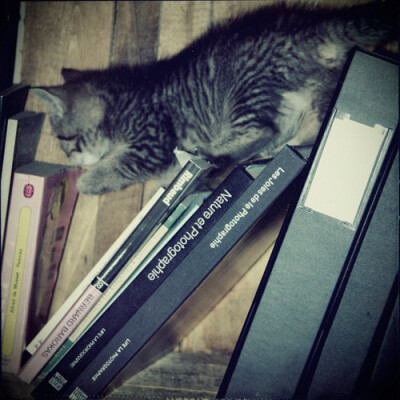 行走于文化边缘~