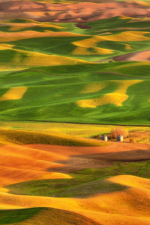 Washington Palouse