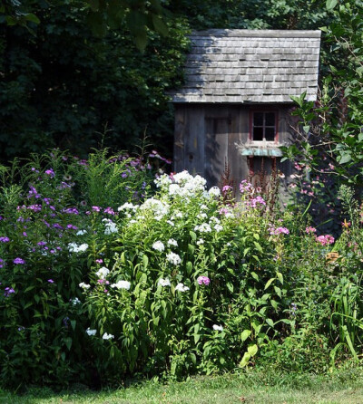 A country house in flowers.
