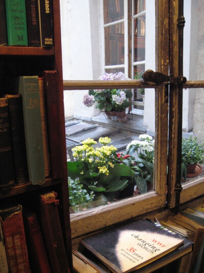 Books Window