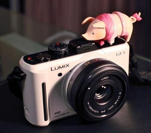 Lumix GF2 微单 Piggy很有爱~