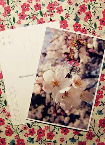 http://item.taobao.com/item.htm?id=13311314826 大谜的明信片，看，有花仙子～～～
