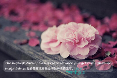 The highest state of love is reached once you get through those insipid days.爱的最高境界是经得起平淡的流年。