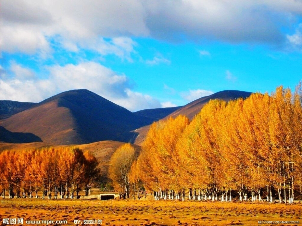 稻城·····穿越千山暮雪的红尘独旅 ·····