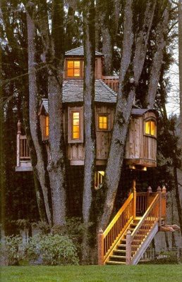 真正的tree house，也不知道是怎样搭建的，太奇妙了