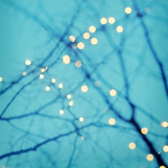 ChelseaVictoria-Twinkle lights on a bare tree.