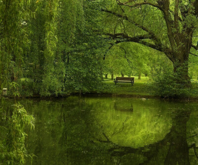 EyePoetryPhotography-Another green world...