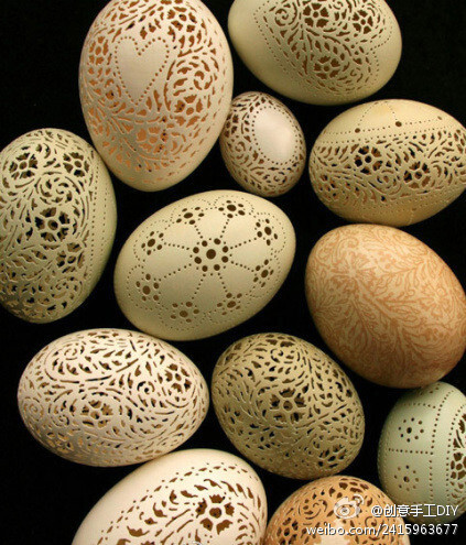 鸡蛋鸡蛋