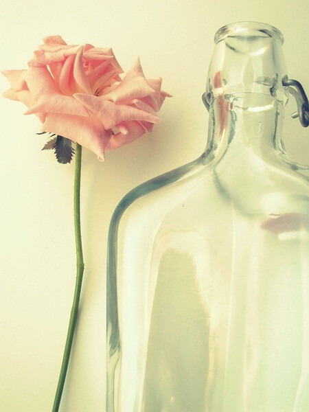 Flower w/ bottle.