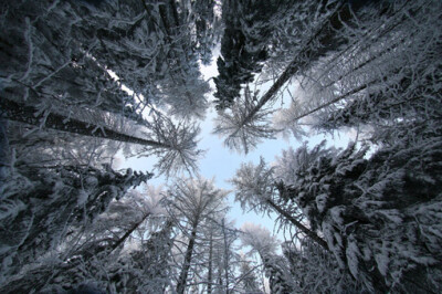 终于知道为何雪花会是这个形状