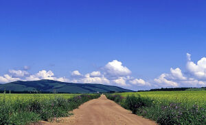   北方的天蓝的不真实。沿着这样的土路走下去，人也会变得明朗不少吧。