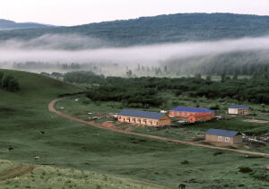 清早。雾气升腾着。寂静的世界，连噪音都没有。