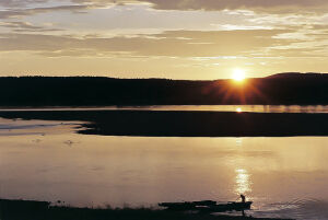 因为日光，整个世界都变得安然祥和了不少。
