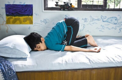 地球上的星星。