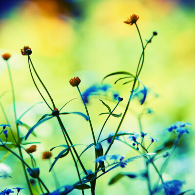 Katerina Karmanovskaya，摄影师，来自俄罗斯莫斯科。