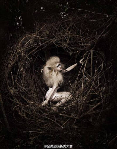 Allison Harvard