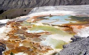 公园里的地热盆地主要集中在南部地区，这里有上间歇泉盆地（Upper Geyser Basin）、中间歇泉盆地（Midway Geyser Basin）、下间歇泉盆地（Lower Geyser Basin），其中最有名的莫过于老忠实泉（Old Faithful）和大棱镜泉（Grand Prismatic Spring）了。