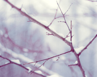 雪的世界-By CarolynCochrane-Quiet Winter