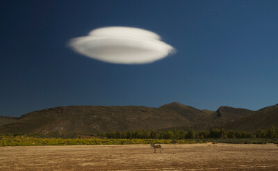 [雲] Photo and caption by Dmitry Gorilovskiy/Nature # @ 南非, Western Cape, Aquila Safari park