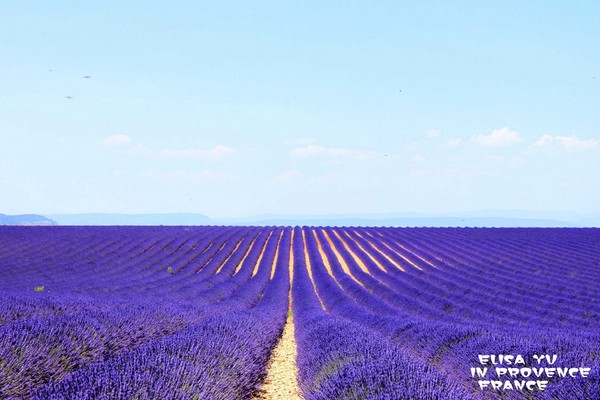 法国普罗旺斯 VALENSOLE