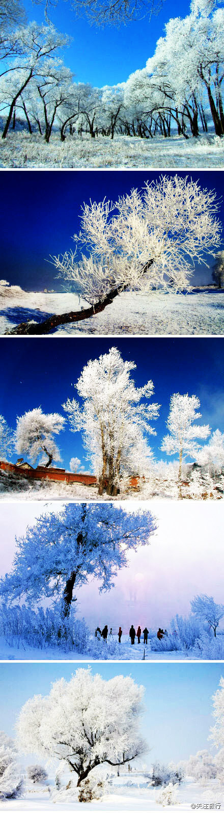 吉林雾凇。最干净纯洁之美