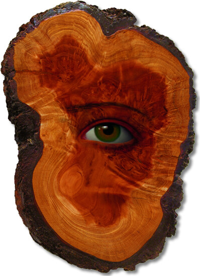 The Tree Show——Wood Nymphs-Redwood Spirit 1