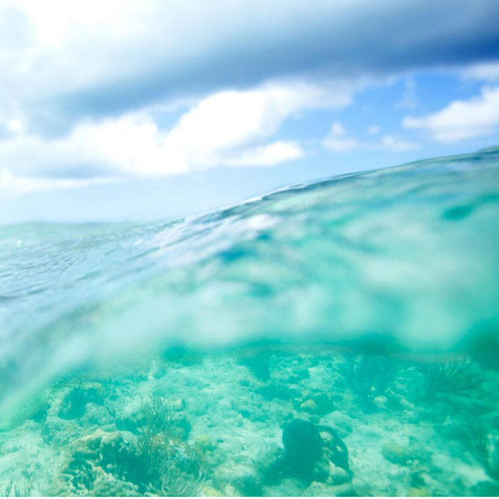 海的诗篇-By DanielleLeigh-Smiths reef, is a protected wildlife preserve in Turks and Caicos Islands. 特克斯和凯科斯群岛