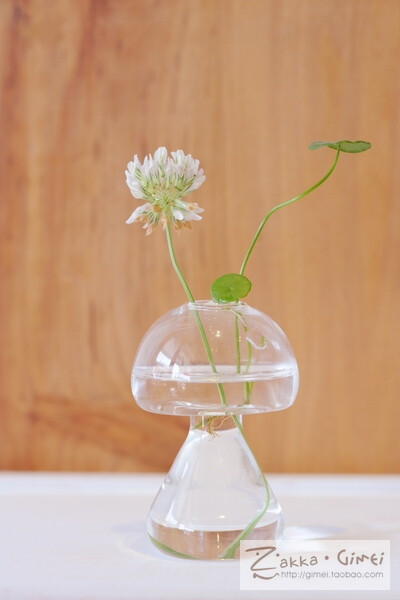 磨菇玻璃水培容器