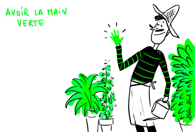 Avoir la main verte : être habile à cultiver les plantes 字面意义: 手变绿了 寓意: 灵巧能干，是干…的一把能手