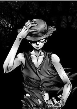 永远的船长Monkey D. Luffy