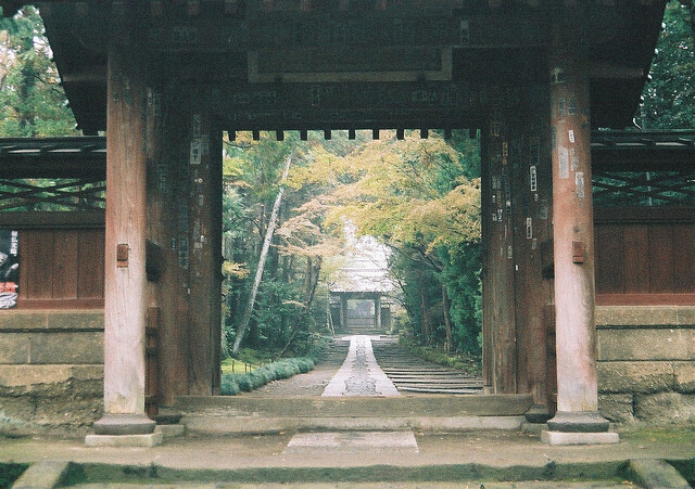 生活在日本